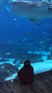 Sugar daddies and babies in California USA 