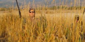 Sugar daddies and babies in  Canada 