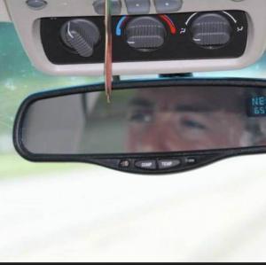 Sugar daddies and babies in California USA 