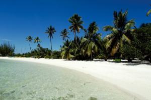 Sugar daddies and babies in Texas USA 