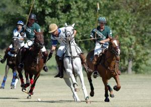 Sugar daddies and babies in California USA 