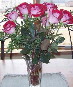 Sugar daddies and babies in Colorado USA 